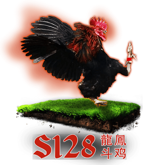 login dan link alternatif situs judi agen sabung ayam online s128 indonesia